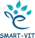 Smart-Vit