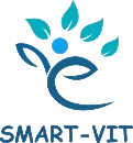 Smart-Vit